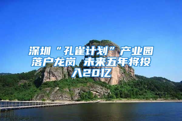 深圳“孔雀計劃”產(chǎn)業(yè)園落戶龍崗 未來五年將投入20億