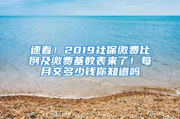 速看！2019社保繳費比例及繳費基數(shù)表來了！每月交多少錢你知道嗎