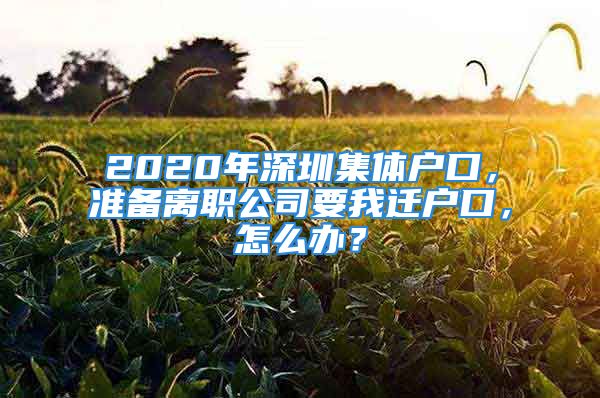 2020年深圳集體戶口，準備離職公司要我遷戶口，怎么辦？