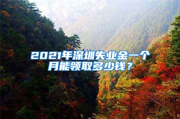 2021年深圳失業(yè)金一個(gè)月能領(lǐng)取多少錢？