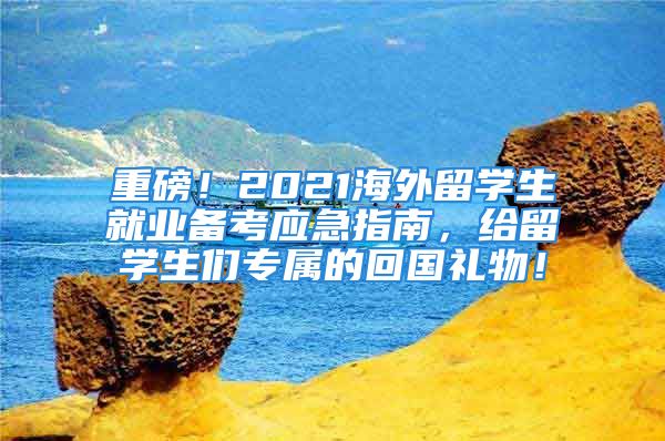 重磅！2021海外留學生就業(yè)備考應(yīng)急指南，給留學生們專屬的回國禮物！