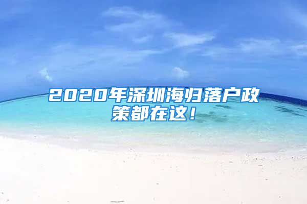 2020年深圳海歸落戶政策都在這！