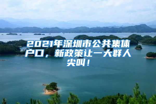 2021年深圳市公共集體戶口，新政策讓一大群人尖叫！