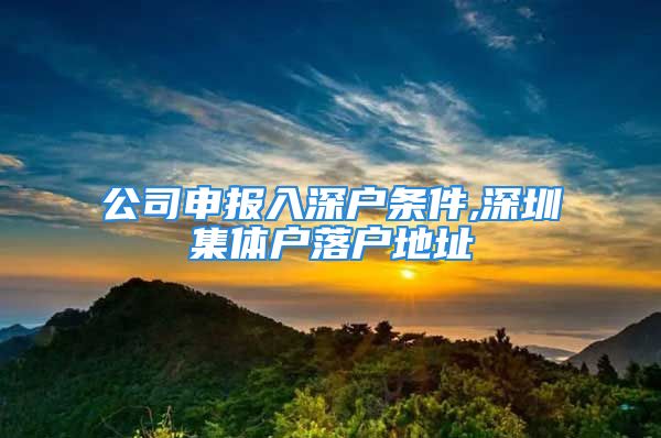 公司申報(bào)入深戶(hù)條件,深圳集體戶(hù)落戶(hù)地址