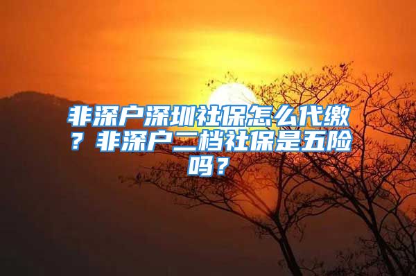 非深戶深圳社保怎么代繳？非深戶二檔社保是五險嗎？