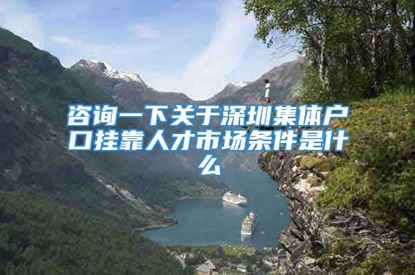 咨詢一下關(guān)于深圳集體戶口掛靠人才市場條件是什么