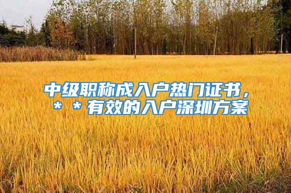 中級職稱成入戶熱門證書，＊＊有效的入戶深圳方案