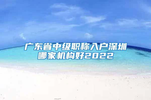 廣東省中級職稱入戶深圳哪家機構(gòu)好2022