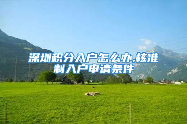 深圳積分入戶怎么辦,核準(zhǔn)制入戶申請(qǐng)條件