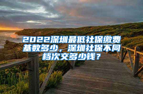 2022深圳最低社保繳費基數(shù)多少，深圳社保不同檔次交多少錢？