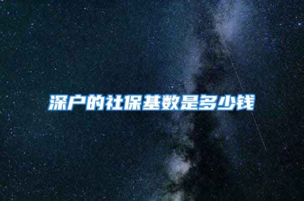 深戶的社?；鶖?shù)是多少錢