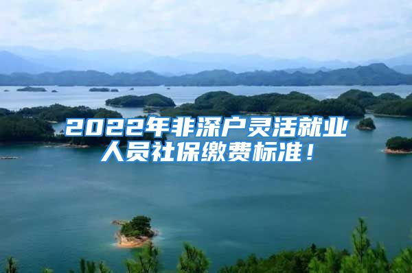 2022年非深戶靈活就業(yè)人員社保繳費標(biāo)準(zhǔn)！