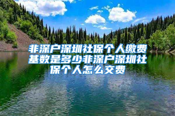 非深戶深圳社保個人繳費(fèi)基數(shù)是多少非深戶深圳社保個人怎么交費(fèi)