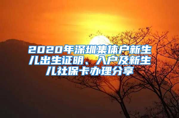 2020年深圳集體戶新生兒出生證明、入戶及新生兒社保卡辦理分享