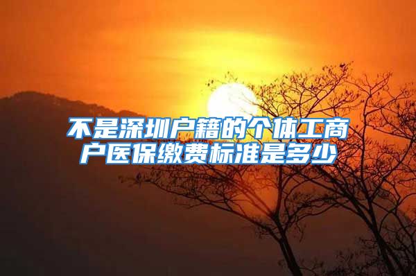 不是深圳戶籍的個(gè)體工商戶醫(yī)保繳費(fèi)標(biāo)準(zhǔn)是多少