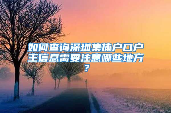 如何查詢深圳集體戶口戶主信息需要注意哪些地方？