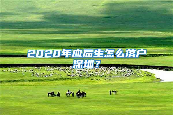 2020年應屆生怎么落戶深圳？