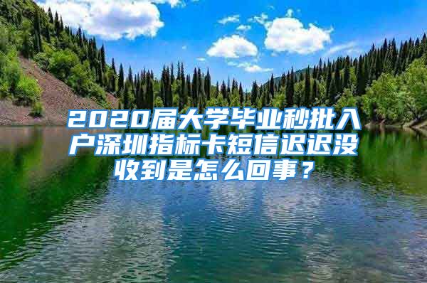 2020屆大學(xué)畢業(yè)秒批入戶深圳指標卡短信遲遲沒收到是怎么回事？