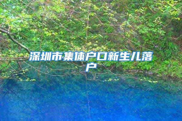 深圳市集體戶口新生兒落戶