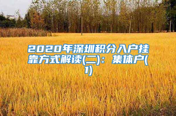 2020年深圳積分入戶掛靠方式解讀(二)：集體戶(1)