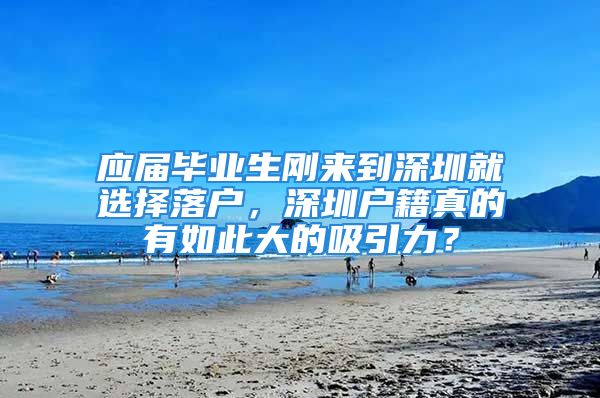 應(yīng)屆畢業(yè)生剛來到深圳就選擇落戶，深圳戶籍真的有如此大的吸引力？