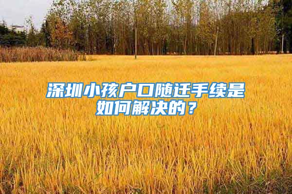 深圳小孩戶口隨遷手續(xù)是如何解決的？