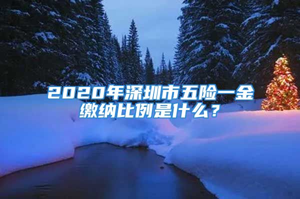 2020年深圳市五險一金繳納比例是什么？