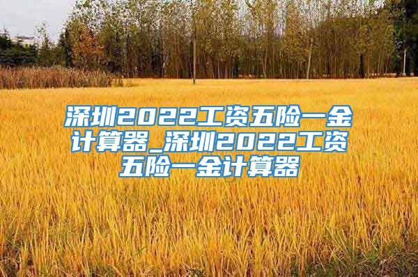 深圳2022工資五險(xiǎn)一金計(jì)算器_深圳2022工資五險(xiǎn)一金計(jì)算器