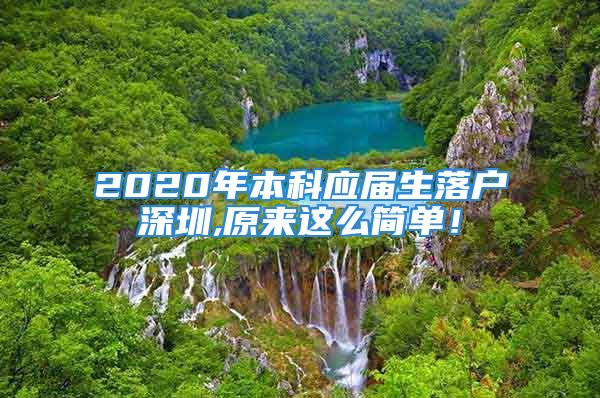 2020年本科應屆生落戶深圳,原來這么簡單！