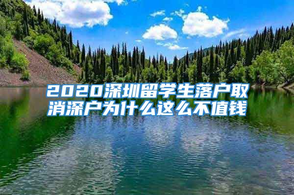 2020深圳留學(xué)生落戶取消深戶為什么這么不值錢(qián)