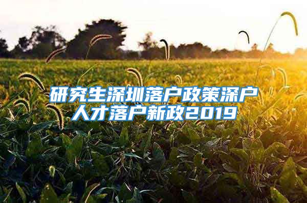 研究生深圳落戶政策深戶人才落戶新政2019