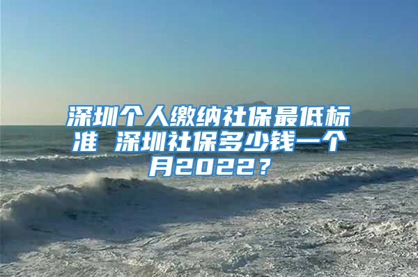 深圳個人繳納社保最低標(biāo)準(zhǔn) 深圳社保多少錢一個月2022？