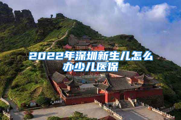 2022年深圳新生兒怎么辦少兒醫(yī)保