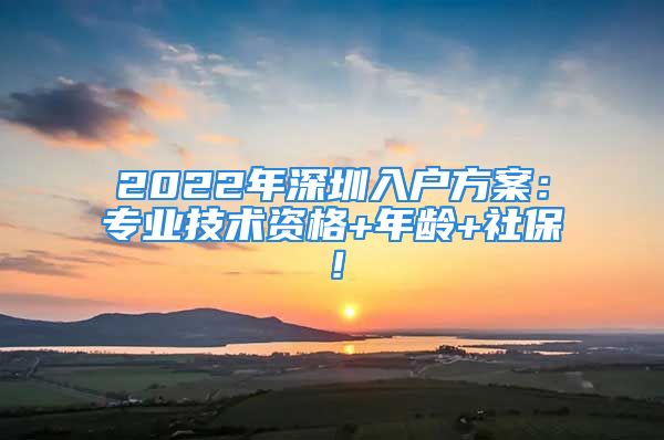 2022年深圳入戶方案：專業(yè)技術(shù)資格+年齡+社保！