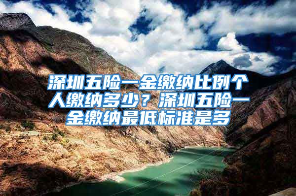 深圳五險一金繳納比例個人繳納多少？深圳五險一金繳納最低標(biāo)準(zhǔn)是多