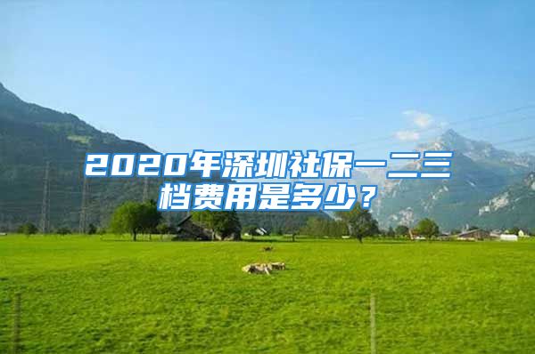 2020年深圳社保一二三檔費(fèi)用是多少？