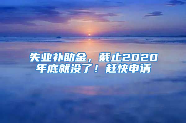 失業(yè)補(bǔ)助金，截止2020年底就沒了！趕快申請