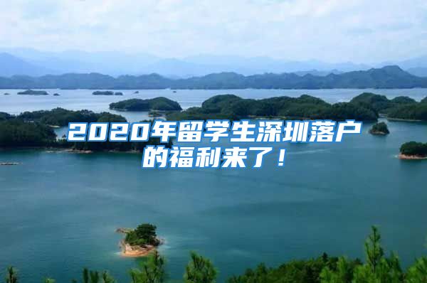 2020年留學生深圳落戶的福利來了！