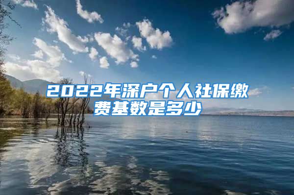 2022年深戶個(gè)人社保繳費(fèi)基數(shù)是多少