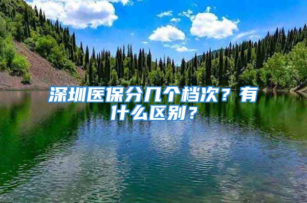 深圳醫(yī)保分幾個檔次？有什么區(qū)別？