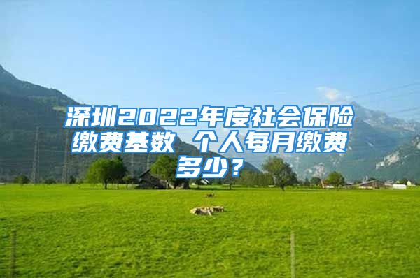 深圳2022年度社會(huì)保險(xiǎn)繳費(fèi)基數(shù) 個(gè)人每月繳費(fèi)多少？