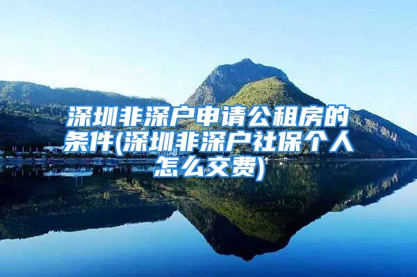 深圳非深戶申請公租房的條件(深圳非深戶社保個人怎么交費)