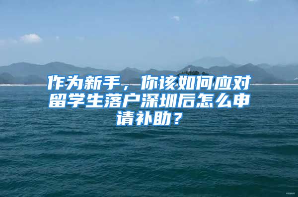 作為新手，你該如何應對留學生落戶深圳后怎么申請補助？