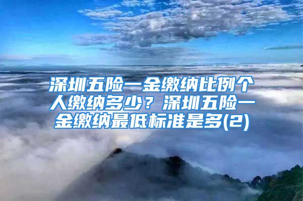 深圳五險(xiǎn)一金繳納比例個(gè)人繳納多少？深圳五險(xiǎn)一金繳納最低標(biāo)準(zhǔn)是多(2)