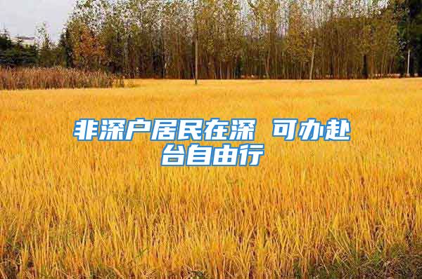 非深戶居民在深 可辦赴臺自由行