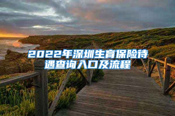 2022年深圳生育保險(xiǎn)待遇查詢?nèi)肟诩傲鞒?/></p>
									<p>　　<strong>生育的醫(yī)療費(fèi)用</strong></p>
<p>　　1.產(chǎn)前檢查:提供嬰兒出生證明的一次性支付2000元,其余情況按本市規(guī)定的產(chǎn)前檢查項(xiàng)目及費(fèi)用標(biāo)準(zhǔn)進(jìn)行審核報(bào)銷,超過2000元部分不予支付;</p>
<p>　　2.單胎順產(chǎn):2700元;</p>
<p>　　3.單胎難產(chǎn)(含剖宮產(chǎn)):5200元;</p>
<p>　　4.多胎分娩:在相應(yīng)分娩標(biāo)準(zhǔn)的基礎(chǔ)上,每增加一胎增加1000元。終止妊娠的費(fèi)用參照計(jì)劃生育相應(yīng)項(xiàng)目標(biāo)準(zhǔn)。</p>									<div   id=