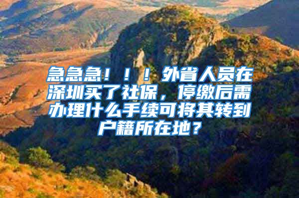 急急急！?。⊥馐∪藛T在深圳買(mǎi)了社保，停繳后需辦理什么手續(xù)可將其轉(zhuǎn)到戶籍所在地？