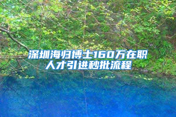 深圳海歸博士160萬(wàn)在職人才引進(jìn)秒批流程