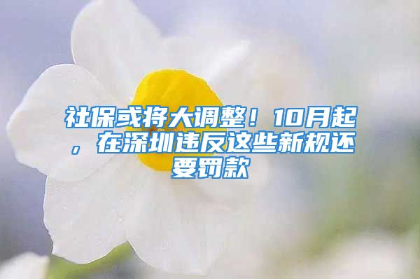 社?；?qū)⒋笳{(diào)整！10月起，在深圳違反這些新規(guī)還要罰款