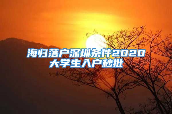 海歸落戶深圳條件2020大學(xué)生入戶秒批